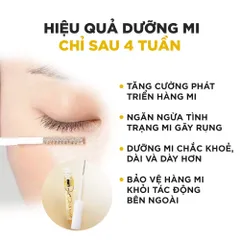 Tinh chất dưỡng mi DHC Eyelash Tonic 6.5ml 846716
