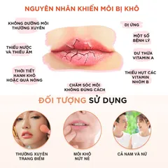 Son dưỡng môi DHC Lip Cream dưỡng ẩm, làm mềm môi 1,5g