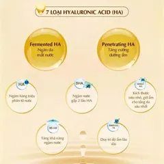 Nước hoa hồng Hada Labo Gokujyun Premium vàng 170ml Nhật Bản 846723