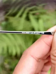 Kính râm nữ Merc 1823 C2 Nobox (P129624)