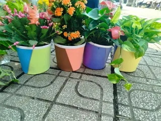 Chậu  C9 cao 17cm đường kính 20cm combo 5 chậu 2 màu giao ngẫu nhiên