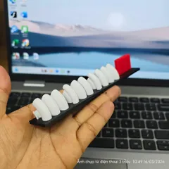 Bảng Số điện thoại có Lá Cờ (P125273)