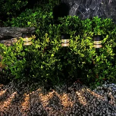 Đèn Trang Trí Ngoài Trời Sân Vườn Đèn Trang Trí Sân Vườn Chống Thấm Nước Đèn Năng Lượng Mặt Trời Cắm Đất Đèn trang trí