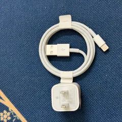 Sạc cáp zin bóc máy USB - Lightning (P125027)
