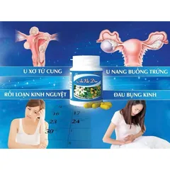 An Nữ Đan hỗ trợ giảm u xơ tử cung chai 60v