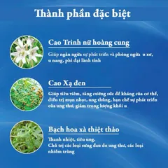An Nữ Đan hỗ trợ giảm u xơ tử cung chai 60v