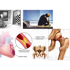 Viên Uống Tiểu Đêm Dân Khang– Hỗ Trợ Chăm Sóc Hệ Tiết Niệu, Dùng Hàng Ngày Hộp  30 Viên