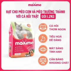 Thức ăn mèo con & mèo lớn vị cá hồi Maxime - Hạt cho mèo mọi độ tuổi gói 1,2kg