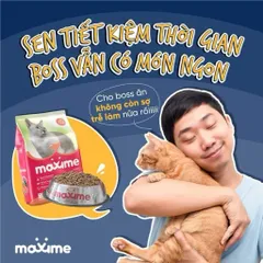 Thức ăn mèo con & mèo lớn vị cá hồi Maxime - Hạt cho mèo mọi độ tuổi gói 1,2kg