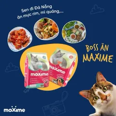 Thức ăn mèo con & mèo lớn vị cá hồi Maxime - Hạt cho mèo mọi độ tuổi gói 1,2kg