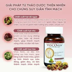 Viên uống hỗ trợ giảm triệu chứng tê đau phù do suy giãn tĩnh mạch Vascovein Dân Khang