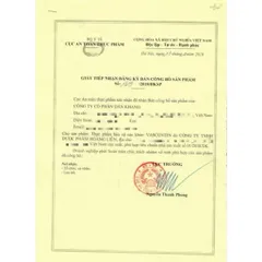 Viên uống hỗ trợ giảm triệu chứng tê đau phù do suy giãn tĩnh mạch Vascovein Dân Khang
