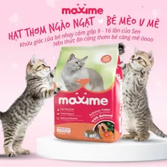 Combo 5 gói hạt Maxime cho mèo mọi độ tuổi - Thức ăn Maxime vị cá Hồi & Ngừ gói 1,2kg