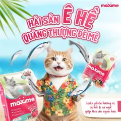 Combo 5 gói hạt Maxime cho mèo mọi độ tuổi - Thức ăn Maxime vị cá Hồi & Ngừ gói 1,2kg