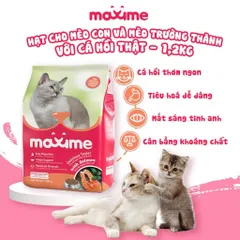 Combo 5 gói hạt Maxime cho mèo mọi độ tuổi - Thức ăn Maxime vị cá Hồi & Ngừ gói 1,2kg