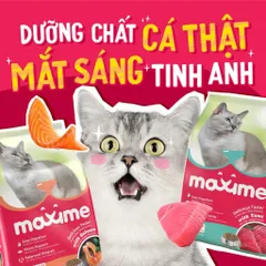Combo 5 gói hạt Maxime cho mèo mọi độ tuổi - Thức ăn Maxime vị cá Hồi & Ngừ gói 1,2kg