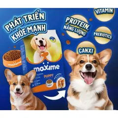 Thức ăn hạt cho chó con vị Thịt Gà gói 400 & 1.5kg - Maxime Puppy Rich in Chicken - Philippines