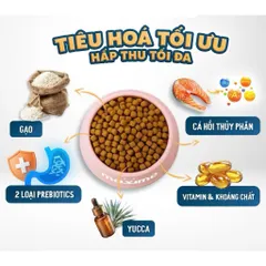 Thức Ăn Maxime Elite Cho Chó Lớn Vị Cá Hồi 1,5kg