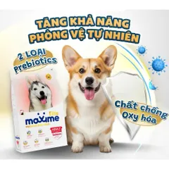 Thức Ăn Maxime Elite Cho Chó Lớn Vị Cá Hồi 1,5kg