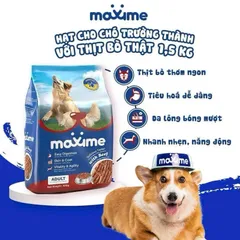 Thức ăn vị bò nướng dành cho tất cả các giống chó Maxime Adul gói 400g & 1,5kg