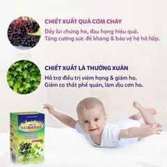Siro Ho BobBaby Dân Khang Hỗ Trợ Thanh Họng Giảm Đau Rát Do Ho - Hộp 30 gói