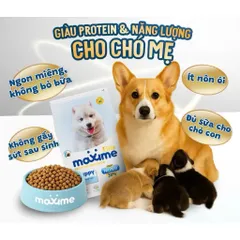 Thức ăn hạt cho chó con và chó mẹ cao cấp gói 1.5kg - Maxime Elite Puppy's & Mother Dog