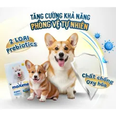 Thức ăn hạt cho chó con và chó mẹ cao cấp gói 1.5kg - Maxime Elite Puppy's & Mother Dog