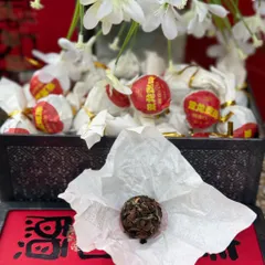 Bạch Trà Trần Bì - Song Long Hí Châu (P123579)