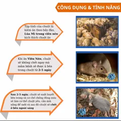 Storm trừ chuột gói 20 viên nén Thế Hệ Mới Hợp Trí - BASF kiểm soát chuột to nhỏ trong nhà kho xưởng chuồng trại và đồng ruộng hiệu quả không mùi