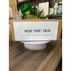Hộp nhử mối, hộp nhử từ gỗ thông thơm, mềm, tinh dầu gỗ thông thu hút mối