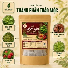 COMBO 4 Trà Mâm Xôi Bầu Đất 100% Thiên Nhiên Giảm Mệt Mỏi Thư Giãn Túi 30 Túi Lọc x 3g Thích Hợp Uống Mỗi Ngày Tạo Thói