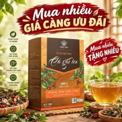 combo 4 Trà Túi Lọc Cà Gai Leo An Xoa Mộc Tâm 30 Gói x 3g – Thảo Mộc Dễ Uống, Tiện Lợi Mỗi Ngày