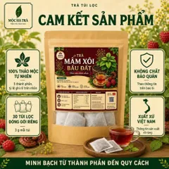 COOMBO 2 Trà Mâm Xôi Bầu Đất 100% Thiên Nhiên Giảm Mệt Mỏi Thư Giãn Túi 30 Túi Lọc x 3g Thích Hợp Uống Mỗi Ngày Tạo Thói