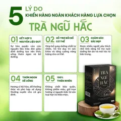 Trà Ngũ Hắc Premium - Trà Túi Lọc Gạo Lứt Đen Mè Đen Đậu Đen Dâu Tằm Hắc Kỷ Tử 100g 847853