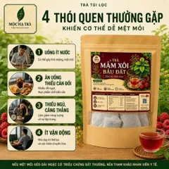 COOMBO 3 Trà Mâm Xôi Bầu Đất 100% Thiên Nhiên Giảm Mệt Mỏi Thư Giãn Túi 30 Túi Lọc x 3g Thích Hợp Uống Mỗi Ngày Tạo ThóI 847859