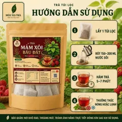 COOMBO 3 Trà Mâm Xôi Bầu Đất 100% Thiên Nhiên Giảm Mệt Mỏi Thư Giãn Túi 30 Túi Lọc x 3g Thích Hợp Uống Mỗi Ngày Tạo ThóI 847859