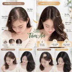 combo 4 Trà Ngũ Hắc Premium - Trà Túi Lọc Gạo Lứt Đen Mè Đen Đậu Đen Dâu Tằm Hắc Kỷ Tử 100g 847868