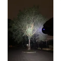 Đèn pin siêu sáng G18 Kèm pin sạc , 8 led chiếu toả và 1 led chiếu xa , độ sáng 4000 lumen , kèm pin sạc chất lượng .