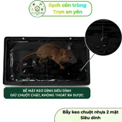 Bộ 2 khay keo siêu dính, khay nhựa đen cứng cáp, hỗ trợ bắt chuột, ruồi và côn trùng bò 848237