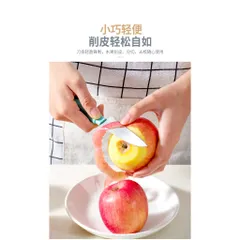 Dao gọt trái cây Nhật Bản bằng thép không gỉ cao cấp có nắp đậy mang đi du lịch tiện lợi