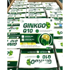 Ginkgo Q10 hoạt huyết dưỡng não đau đầu chóng mặt tăng cường lưu thông máu đau đầu chóng mặt tiền đình