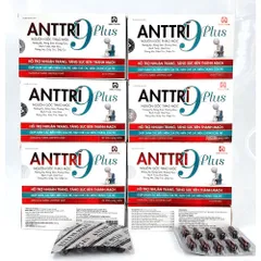 ANTTRĨ 9PLUS An Trĩ plus thanh nhiệt nhuận tràng, hỗ trợ làm giảm cho người bị bệnhh trĩ, tăng sức bền thành mạch