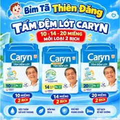 [ COMBO 2 BỊCH ] Tấm Đệm Lót Caryn Cho Người Lớn Size L10 L20 XL14 – Thấm Hút Tốt, Tiện Lợi, Chăm Sóc Người Cao Tuổi