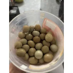 10 trứng gà rutin có c.ồ
