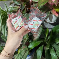 Công tắc đèn Sopoka ST1 5A - công tắc nguồn 5A, công tắc điện 5A