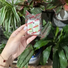 Công tắc đèn Sopoka ST1 5A - công tắc nguồn 5A, công tắc điện 5A