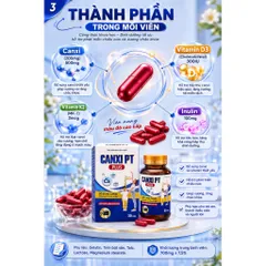 Tăng Chiều Cao Cho Mọi Lứa Tuổi - Viên uống Canxi PT PLUS hộp 30 viên, nguyên liệu nhập khẩu từ Pháp