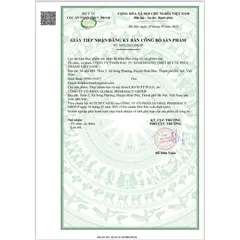 Tăng Chiều Cao Cho Mọi Lứa Tuổi - Viên uống Canxi PT PLUS hộp 30 viên, nguyên liệu nhập khẩu từ Pháp