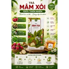 Trà Mâm Xôi Tứ Vị Túi Lọc Hộp 30 Gói   Mâm Xôi - Cỏ Ngọt - Cỏ Máu - Sâm Tố Nữ