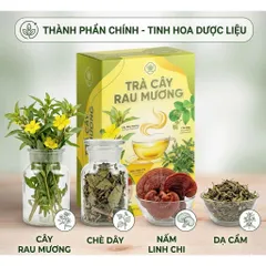 Trà cây rau mương thảo mộc tự thiên –giúp thanh nhiệt giải độc, tốt cho tiêu hóa – Hộp 30 gói x 3g 850178